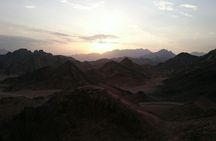 Evening quad bike adventure with Bedouin tea in Sharm El-Sheikh