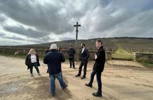 Day Tour in Burgundy with 12 Wines Tasting at Local Wineries