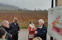 Day Tour in Burgundy with 12 Wines Tasting at Local Wineries