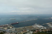 Gibraltar tour with dolphin watching cruise from Malaga