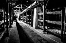 Guided tour of Auschwitz-Birkenau from Krakow