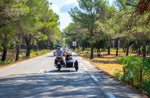 Side-car tour of the Luberon vineyards