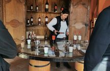Side-car tour of the Luberon vineyards