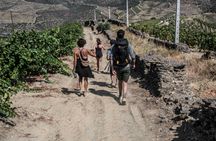 Douro Valley hiking tour