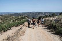 Douro Valley hiking tour