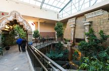 Bird Kingdom admission tickets