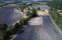 Side-car tour of the Luberon vineyards