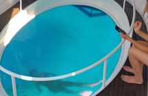 2-hour glass-bottom boat tour with snorkeling in Vila Franca do Campo