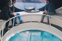 2-hour glass-bottom boat tour with snorkeling in Vila Franca do Campo