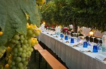 Wine Tasting and Barbecue Dinner in Chianti's Vineyards from Siena