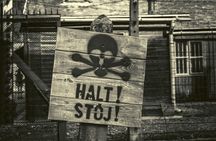 Krakow and Auschwitz Small Group Tour from Warsaw with Pick-up and Lunch