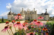 Chenonceau and Chambord Tour with Wine-Tasting from Tours or Amboise