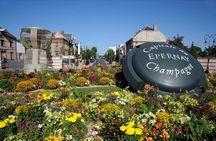 Full-Day Tour and Tasting at Two Family Estates Including Lunch