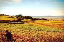 Full-Day Tour and Tasting at Two Family Estates Including Lunch