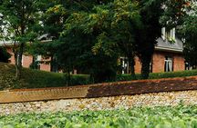 Canard-Duchêne cellar sabering experience and tour with tasting