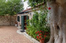Wine and olive oil tasting experience in Ražnjevića Dvori