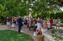 Wine and olive oil tasting experience in Ražnjevića Dvori
