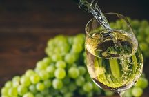 Wine and cheese pairing tasting in Chablis