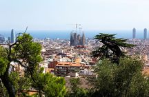 Park Güell private tour with a local guide