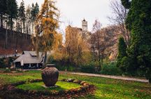 Libearty Bear Sanctuary and Bran Castle private full-day tour