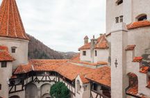 Libearty Bear Sanctuary and Bran Castle private full-day tour