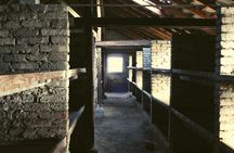 Auschwitz Small Group Tour from Warsaw with Pick-up and Lunch