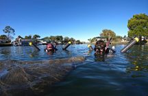 Real Florida manatee half-day guided adventure