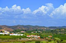 Day trip to Silves and Monchique from Praia da Luz