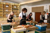 Farm to Fork 2-Hour Cooking Class in Crete
