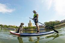 90-minute paddle surf with dog experience in Seville