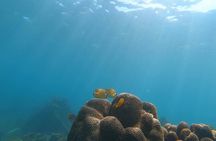 Boat tour to the  bays of Koh Tao island with light meal