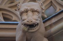 Discover Strasbourg's most Photogenic Spots with a Local