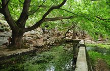 Private tour to Parnassos national park and Arachova from Athens