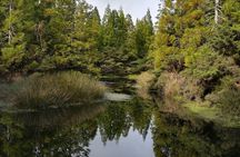 Terceira Island walking trails tour