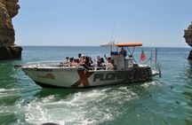Caves in the Algarve and Dolphin-Watching Boat Tour from Albufeira