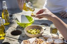 Montpellier guided walking food tour