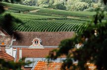 Private guided tour of the Canard Duchêne cellars