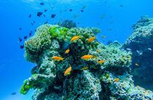 Snorkeling tour to Ko Surin National Park from Phuket with lunch