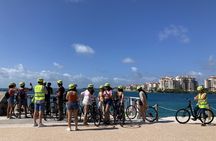 Santa Monica and Venice Beach Bike or eBike Tour