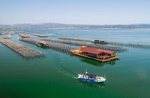 Visit to a mussel farm with tasting