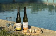 Quinta de Lourosa vineyard and cellar guided tour with tasting