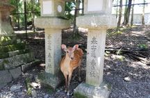 Nara half-day walking tour