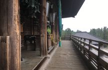 Nara half-day walking tour