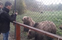 Visit to a Bear Sanctuary from Budapest