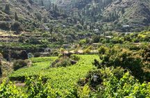 Full day tour of northern Gran Canaria