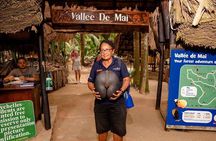 Vallée de Mai and Anse Lazio tour by bus