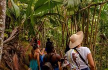 Vallée de Mai and Anse Lazio tour by bus