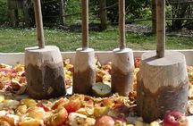Full-day tour from Bilbao to discover the Basque rural culture