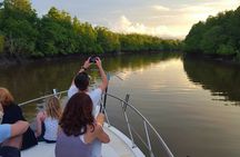 Santubong wildlife guided cruise