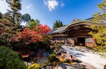 Experience the life of a Buddhist monk in Koyasan